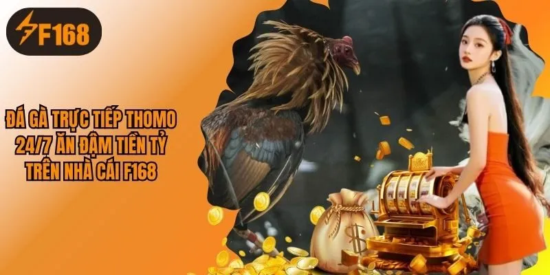 Đá Gà Trực Tiếp Thomo 24/7 Thắng Ngay Tiền Tỷ Trên F168