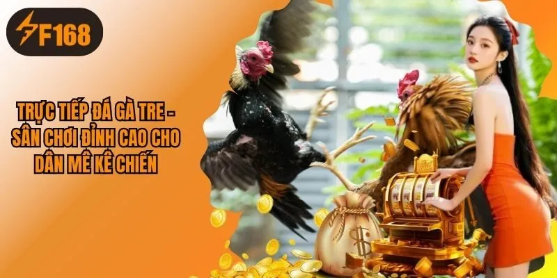 Trực Tiếp Đá Gà Tre - Sân Chơi Đỉnh Cao Cho Dân Mê Kê Chiến