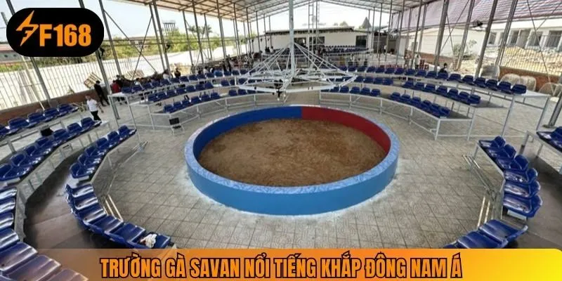 Trường gà Savan nổi tiếng khắp Đông Nam Á